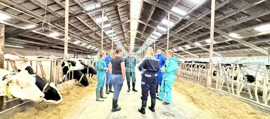 Erfolgreicher AVA- Fütterungscontrolling-Workshop im Milchkuhbetrieb für Tierärzte, Landwirte und Berater
