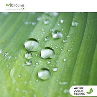 Lotusblüteneffekt: Resilienz-Seminar mit Alexandra Gebhardt am 16./17. September 2025 in Heidelberg