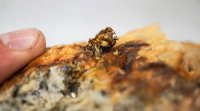 Analyst sieht erhebliches Aufwärtspotenzial für Goliath Resources