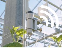Neues Licht für den Gartenbau: Mit dem Aranet_PAR-LS zum Wachstumserfolg