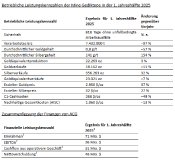 ACG Metals Limited – Vorläufige Ergebnisse für 2025