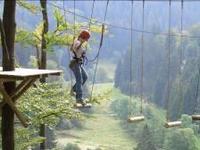 Einer der schönsten Hochseilgärten in Deutschland: Willinger Klettergarten ausgezeichnet