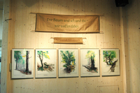 Natur in einem Pinselstrich – Hainichkalender 2011