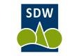 Baumpflanzsaison gestartet: Jugendbaumpflanzaktion mit örtlicher Realschule im Essener Stadtwald