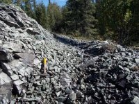 Es leben die Batteriemetalle– auch in Entenhausen wird jetzt elektrisch gefahren