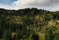 Silberpreisüber 60 US-Dollar je Feinunze Silberpreisüber 60 US-Dollar je Feinunze