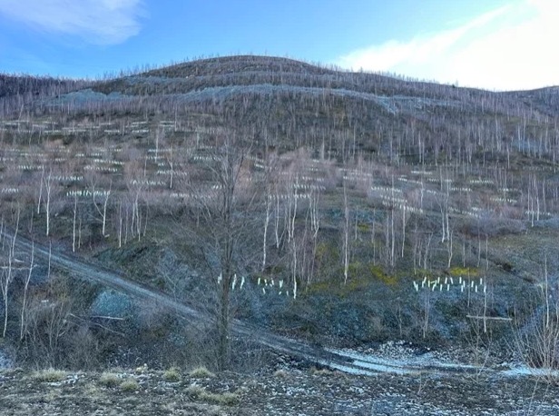 Die E-Mobilität braucht Rohstoffe Die E-Mobilität braucht Rohstoffe