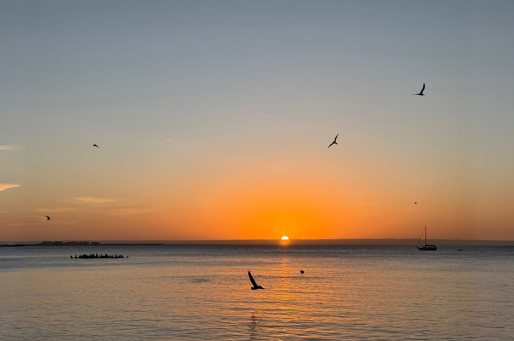 Projekt „Weihnachten“: Warum Gelassenheit das beste Geschenk ist Projekt „Weihnachten“: Warum Gelassenheit das beste Geschenk ist