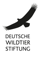 Eiswinter setzt Wildtieren zu – Rücksichtnahme und Futter helfen