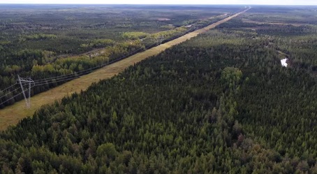 Amazon sichert sich Kupferproduktion