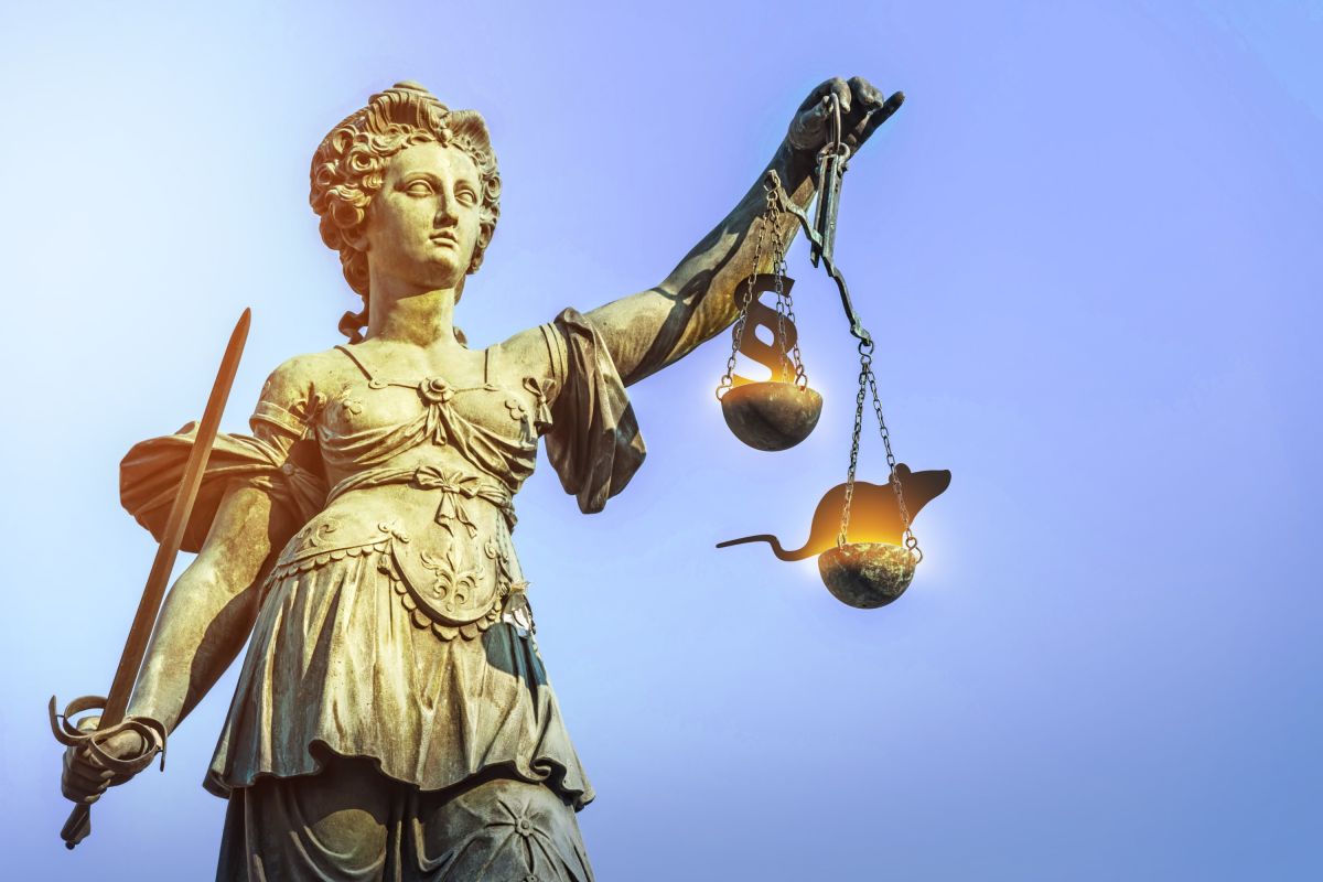 Bund plant eigenes Gesetz für Tierversuche – Tierrechtsbündnis mahnt vor Herabsenkung des Schutzstatus