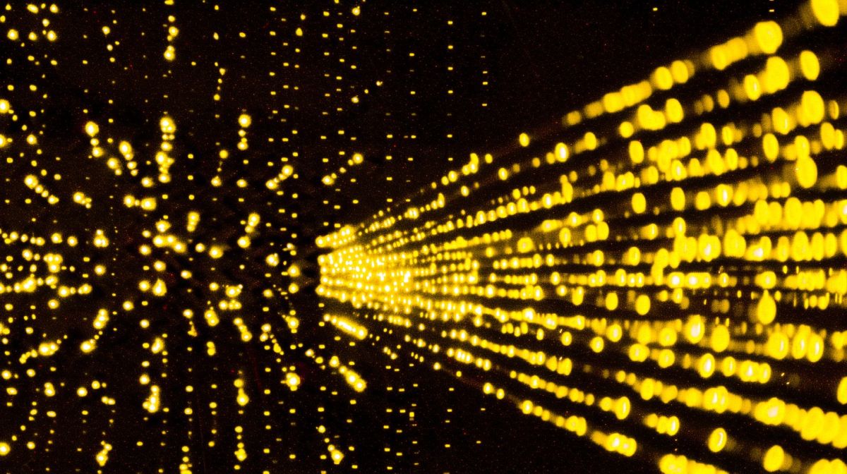 Next Gen IT Systems Magdeburg GmbH mandatiert CONFIDEX zur strukturierten Investorensuche