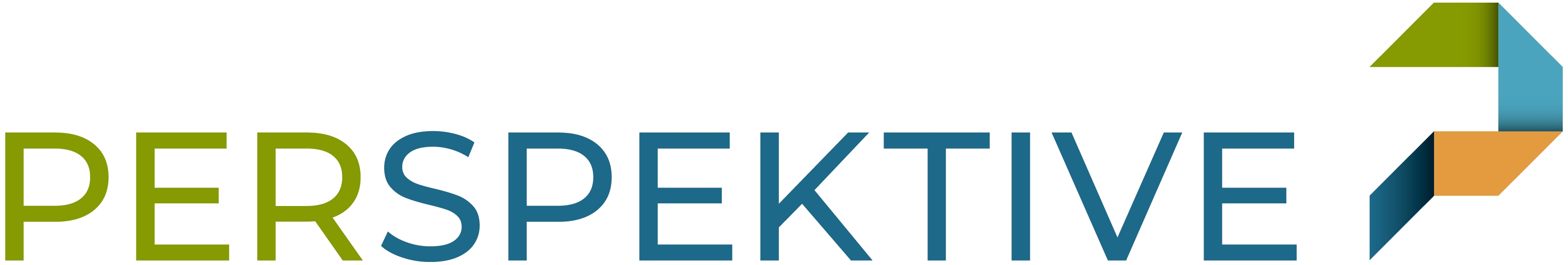 PERSPEKTIVE – europäisches Netzwerk für Reintegration