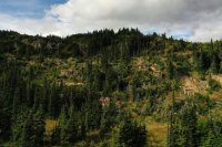 Totgesagte leben länger – Silber