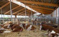 Komplexität im Griff: Wie Wolf System seinen Angebotsprozess standardisiert und skaliert