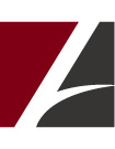 ARITHNEA reloaded – Ein eBusiness-Dienstleister stellt sich neu au