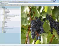 Ausgereifte IT-Partnerschaft für die Weinwirtschaft