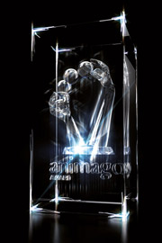 Herzlichen Glückwunsch!	 Die Gewinner des animago AWARD 2010