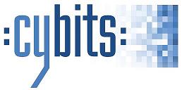 Cybits Holding AG: Wachstumschancen durch neue Signaturverordnung und geplantes De-Mail Gesetz