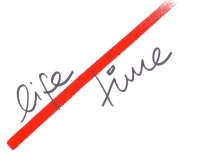 KURPFALZ MANAGEMENT ist der Urheber von life time© dem Verfahren für Ihr effizientes Zeitmanagement