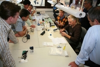 Workshops für Teamplayer