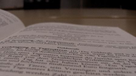 Privathaftpflicht: Eintrittspflicht bei Eingehungsbetrug durch Dritte