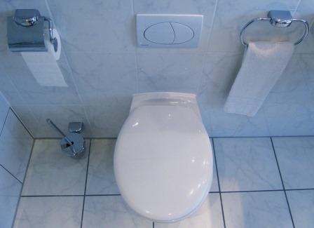 Vermieter-Rechtsschutzversicherung: Eine laufende Toilettenspülung und ihr abruptes Ende