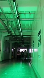 Bosch Experience Day