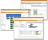 Webbasiertes Multi-Projektmanagement mit CPM@SharePoint