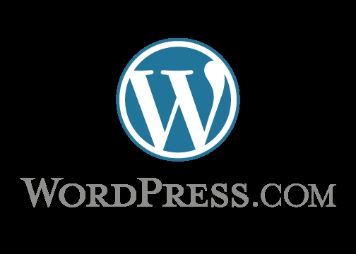 Domain für WordPress