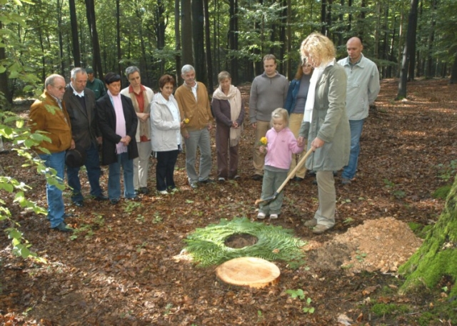 Bestattung im Wald – mit der Sterbegeldversicherung den letzten Wunsch erfüllen