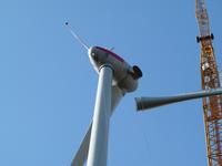 Ohne Kurskapriolen? nachhaltige Investments in Erneuerbare Energien und Umweltprojekte