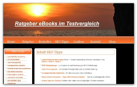 Ratgeber ebooks