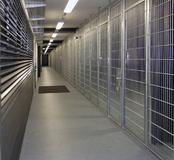 Sicher, grün und hochmodern