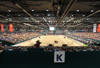 Mehr Platz und neue Highlights: Aktionsring auf der PARTNER PFERD