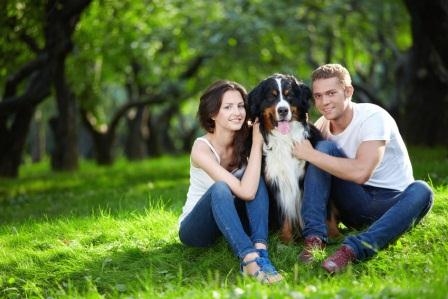 Die Uelzener Hundehaftpflicht sichert im Schadensfall Existenzen