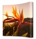 Faltdisplays von mydisplays.de
