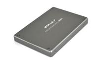 PNY präsentiert vierte Generation der SSD Professional-Reihe  auf der CeBIT 2012