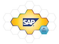 Bilanzanalyse direkt in SAP