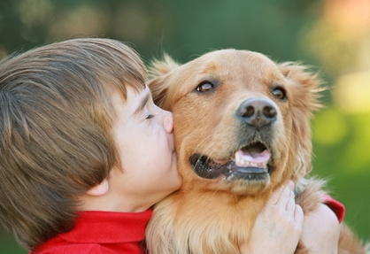 Hundeoperationsversicherung: Vorsorge und Kostenschutz