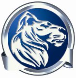 Internetagentur Löwenstark: Der Trend vom Viralen Marketing