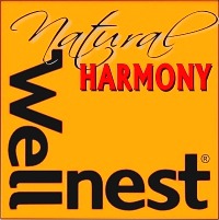 Wellnest Startup-Lizenz mit kapitalisierter EU-GmbH für 699 Euro