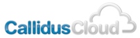 CallidusCloud übernimmt 6FigureJobs