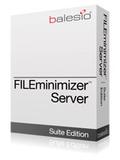 FILEminimizer Server – Datei-Optimierung spart Kosten und Speicherplatz
