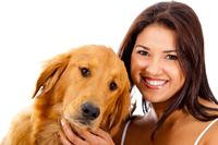 Futter für Hunde! Welches ist das Richtige?