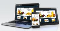 Crossmediales Publishing mit ci-book?