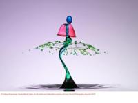 Sony World Photography Awards 2013
