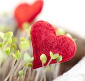 Für 50 Online-Dating Portale die Nutzungsrechte gesichert