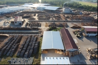 5.000 Gäste beim Sommerfest der Holzindustrie Torgau (HIT)