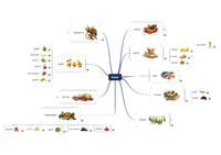 Leichter Lernen mit Mindmaps
